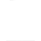 palm tree